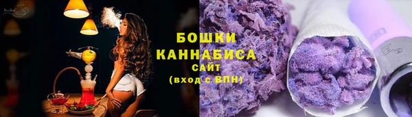 крисы Белоозёрский