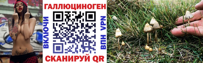 Псилоцибиновые грибы MAGIC MUSHROOMS  купить закладку  ссылка на мегу зеркало  Жердевка 