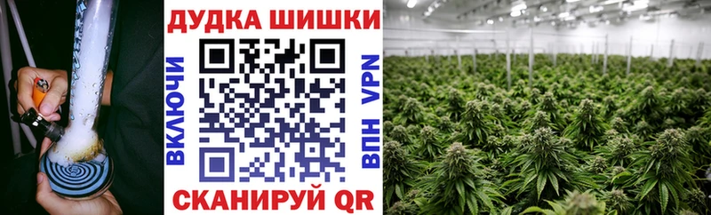 Канабис сатива  Жердевка 